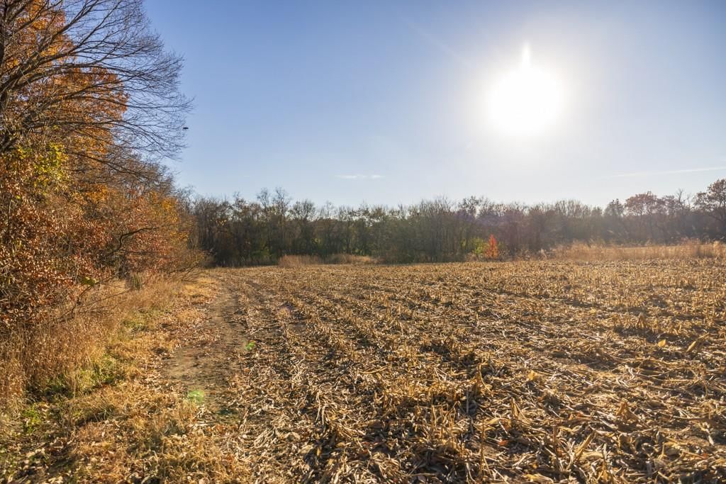 Tract 12 W Ryan Road — photo 17