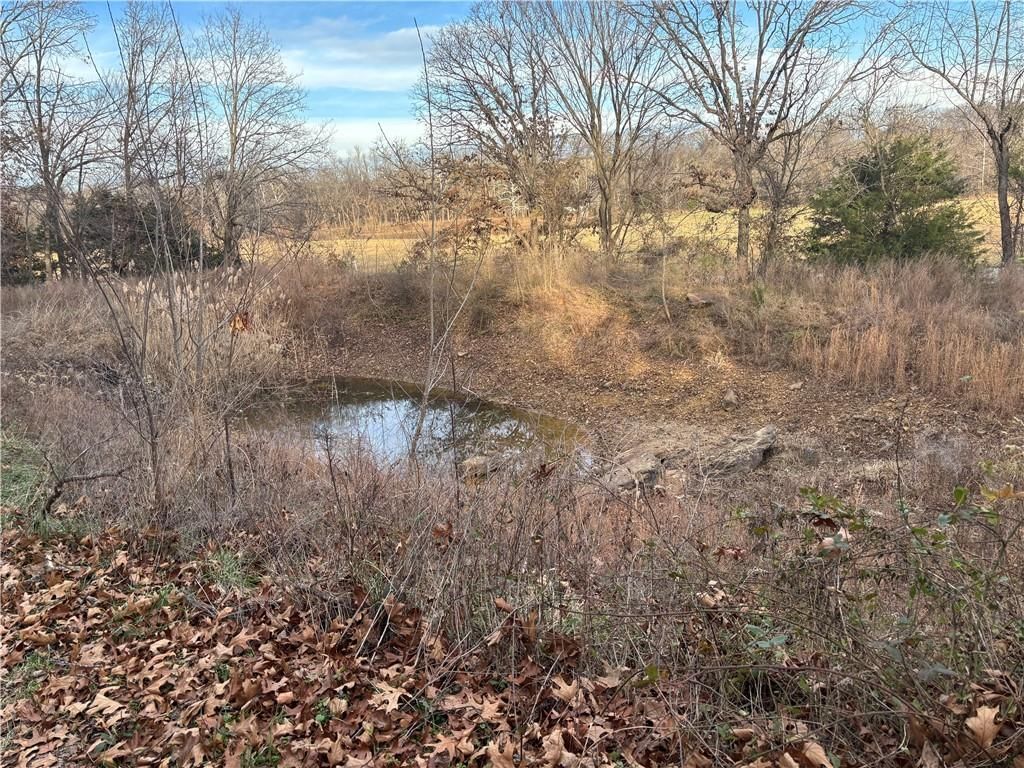 900 South 82 Highway — photo 6