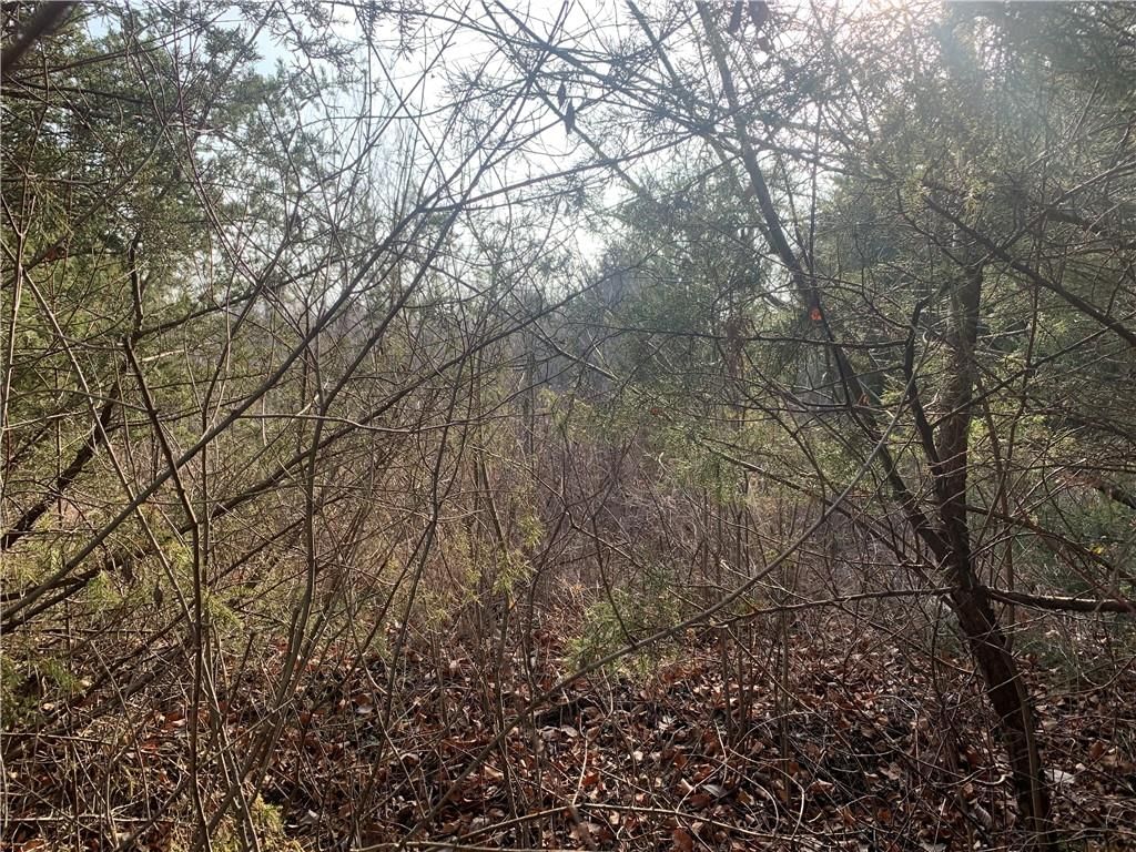 30 Foxwood Drive — photo 2
