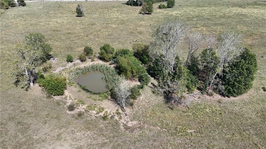 TBD SW 500th Road — photo 10