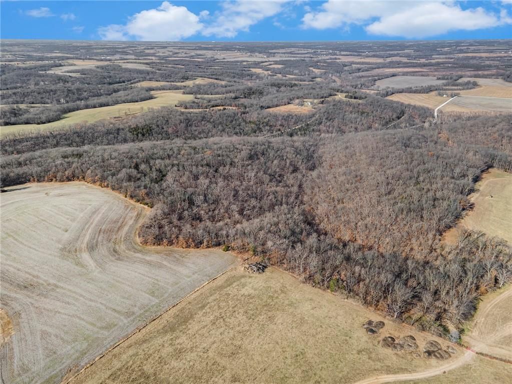 Bar Hollow Dr Road — photo 4