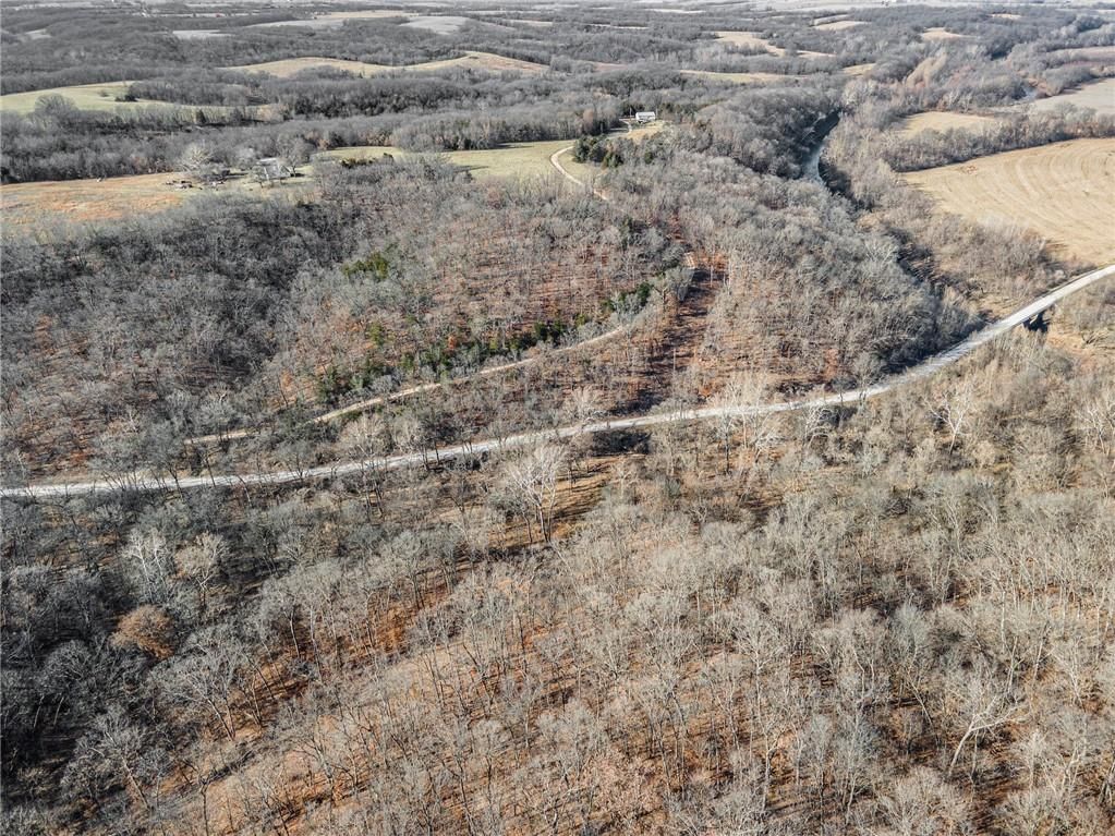 Bar Hollow Dr Road — photo 7