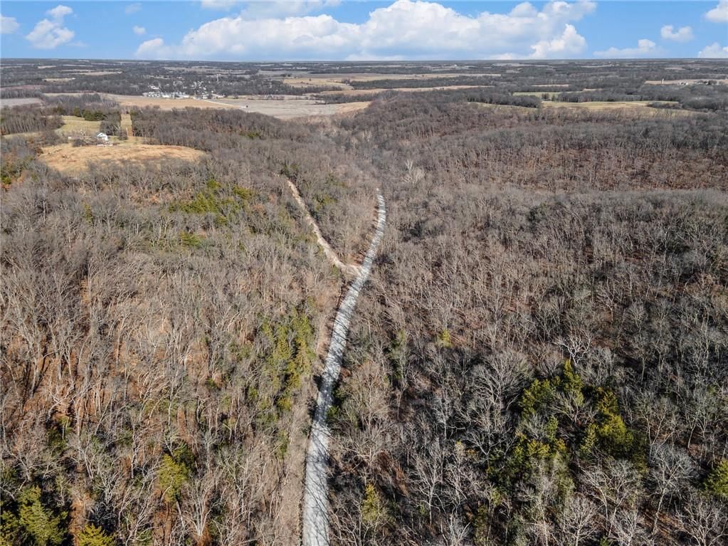Bar Hollow Dr Road — photo 9