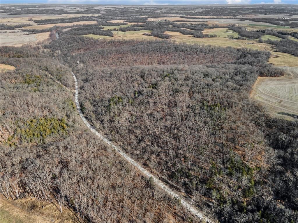 Bar Hollow Dr Road — photo 10