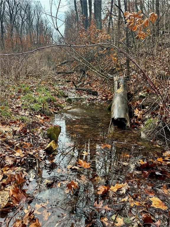 Bar Hollow Dr Road — photo 15