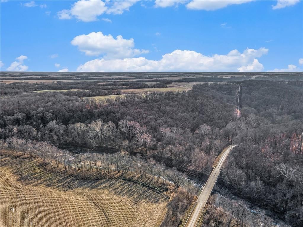 Bar Hollow Dr Road — photo 18