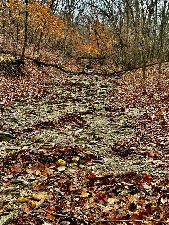 Bar Hollow Dr Road — photo 21