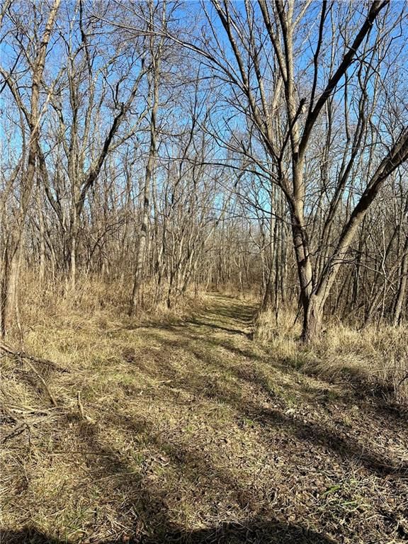 Bar Hollow Dr Road — photo 22