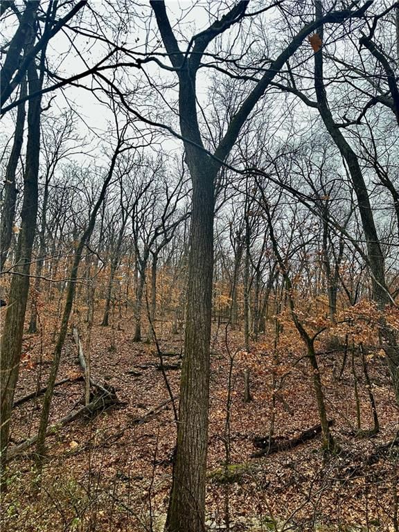 Bar Hollow Dr Road — photo 23