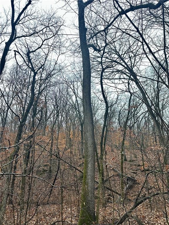 Bar Hollow Dr Road — photo 24