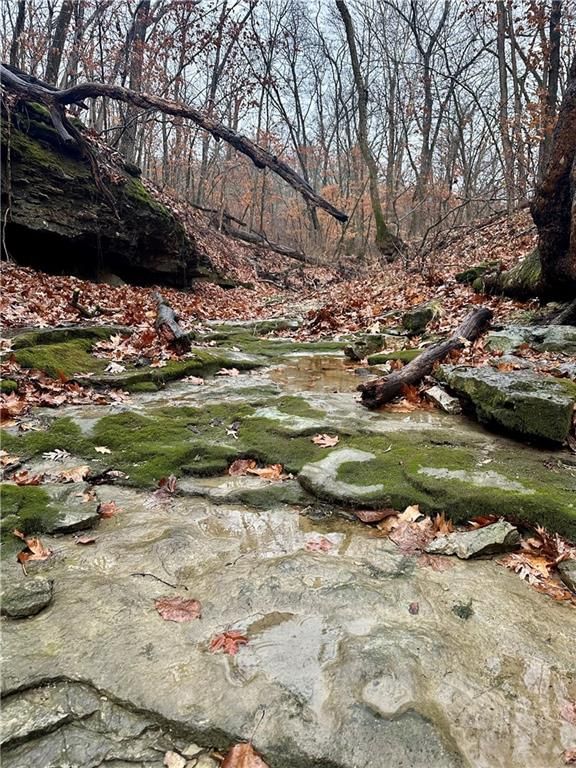 Bar Hollow Dr Road — photo 25