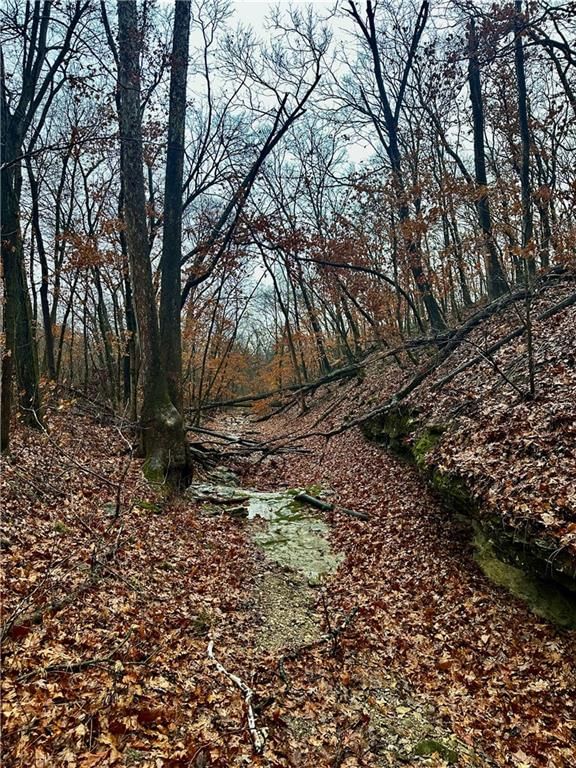Bar Hollow Dr Road — photo 26