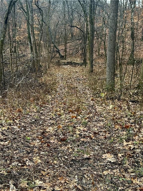 Bar Hollow Dr Road — photo 27
