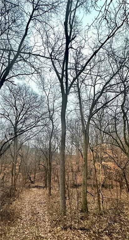 Bar Hollow Dr Road — photo 28