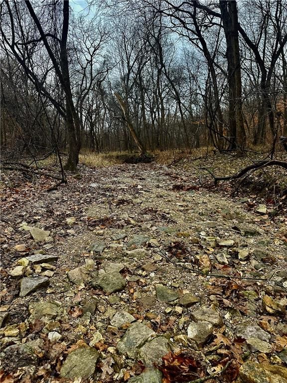 Bar Hollow Dr Road — photo 29