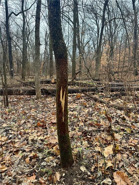Bar Hollow Dr Road — photo 30