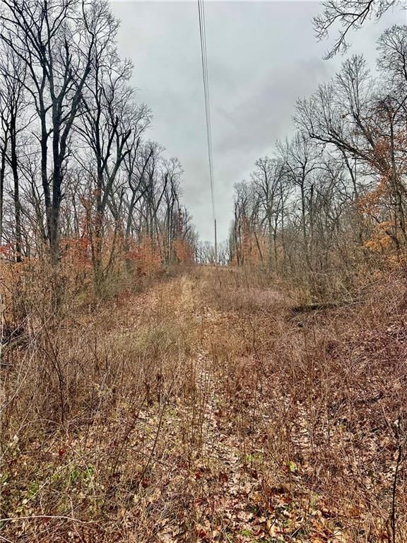 Bar Hollow Dr Road — photo 31