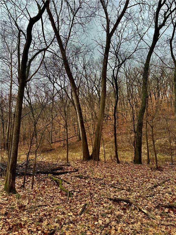 Bar Hollow Dr Road — photo 32