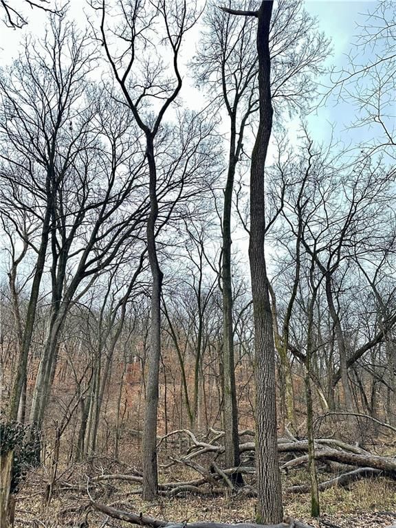Bar Hollow Dr Road — photo 33