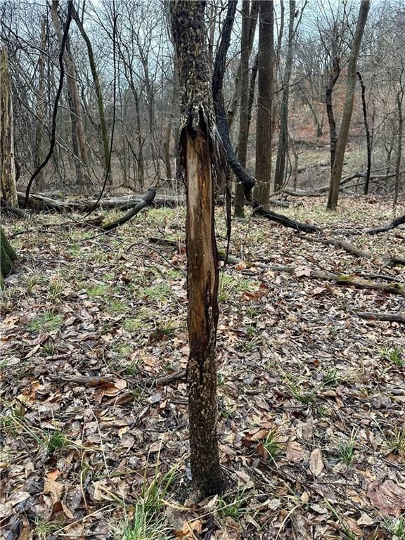 Bar Hollow Dr Road — photo 34