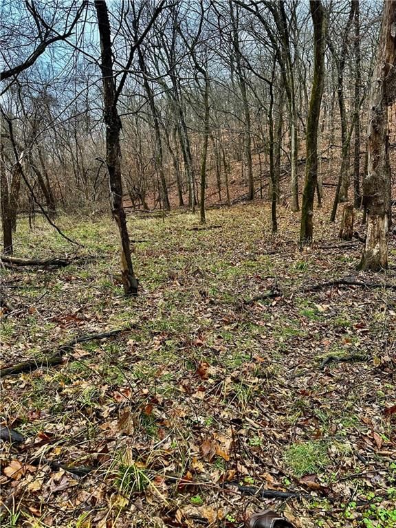Bar Hollow Dr Road — photo 35