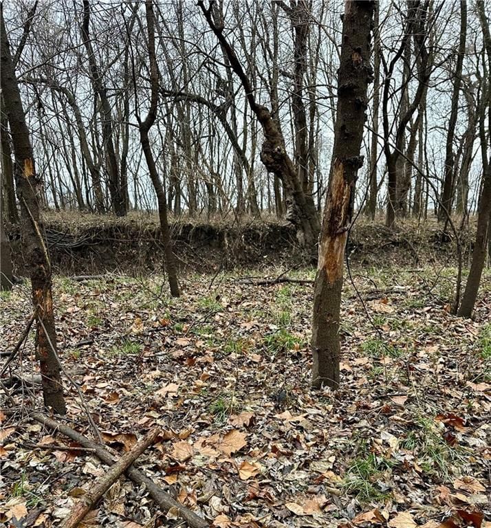 Bar Hollow Dr Road — photo 36