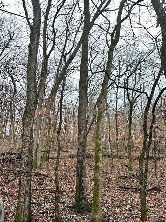Bar Hollow Dr Road — photo 37