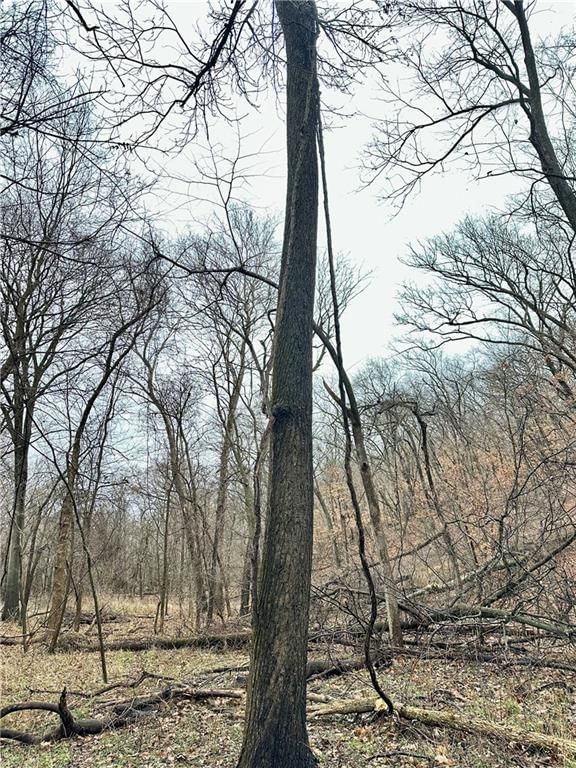 Bar Hollow Dr Road — photo 38