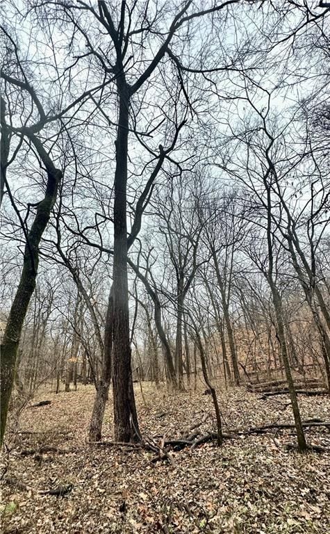 Bar Hollow Dr Road — photo 39