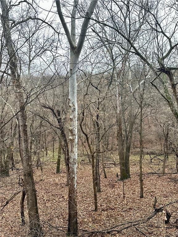 Bar Hollow Dr Road — photo 40