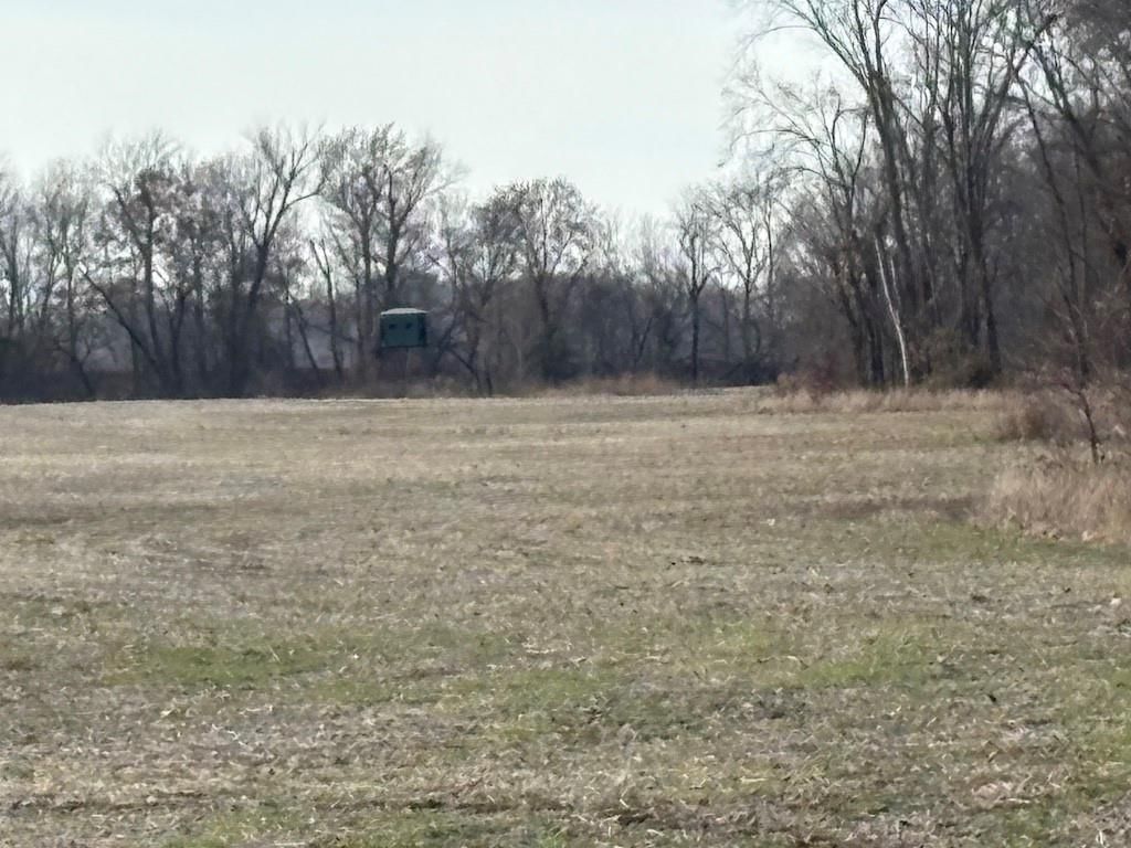 0000 SW 0000 Road — photo 7