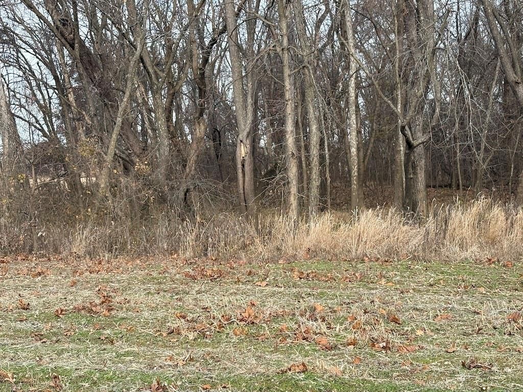 0000 SW 0000 Road — photo 9