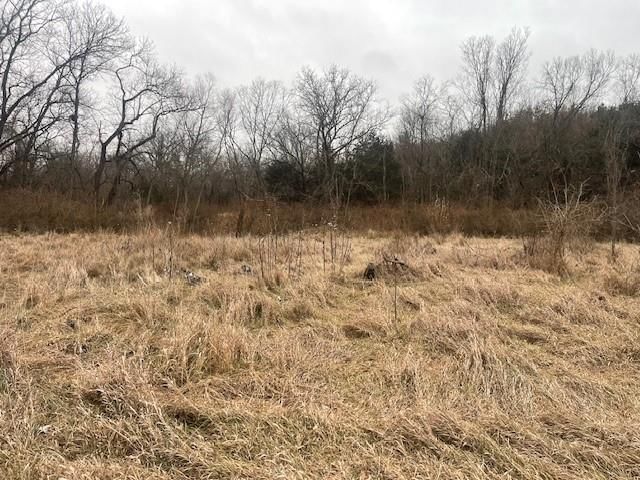 Argo Road — photo 4