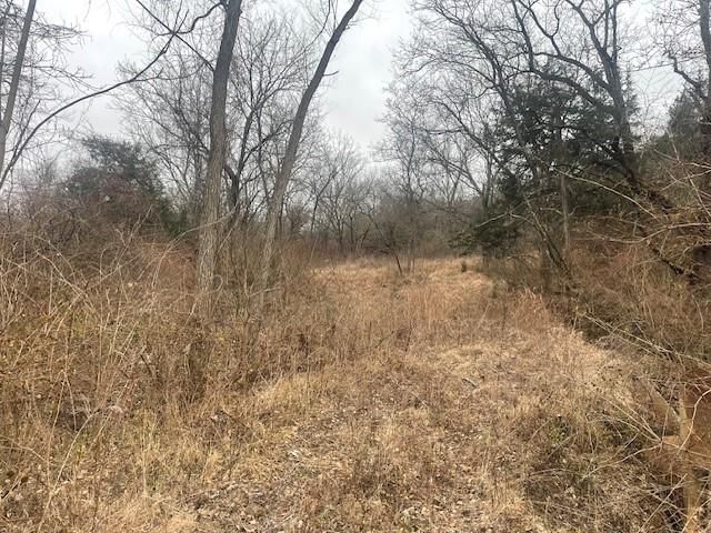 Argo Road — photo 5