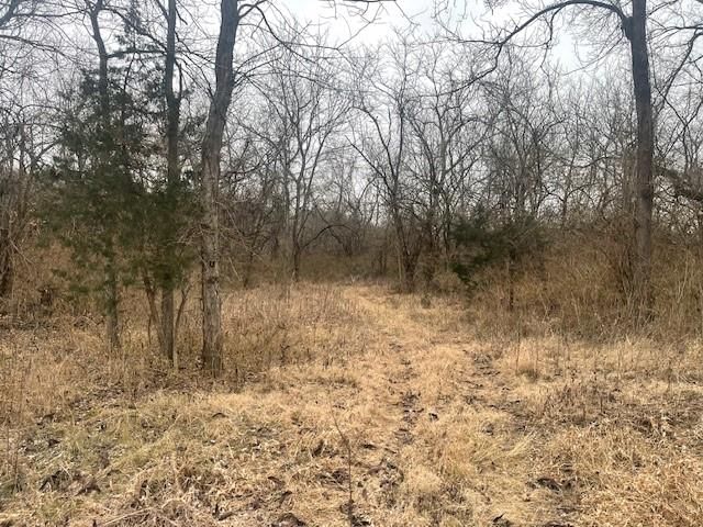 Argo Road — photo 6