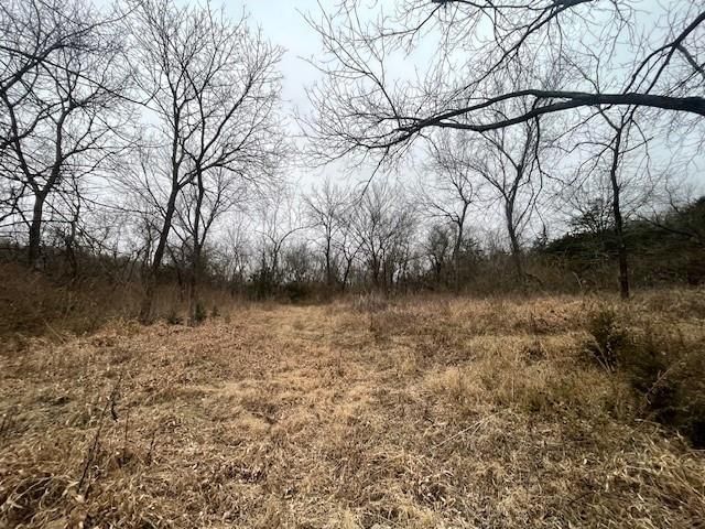 Argo Road — photo 7