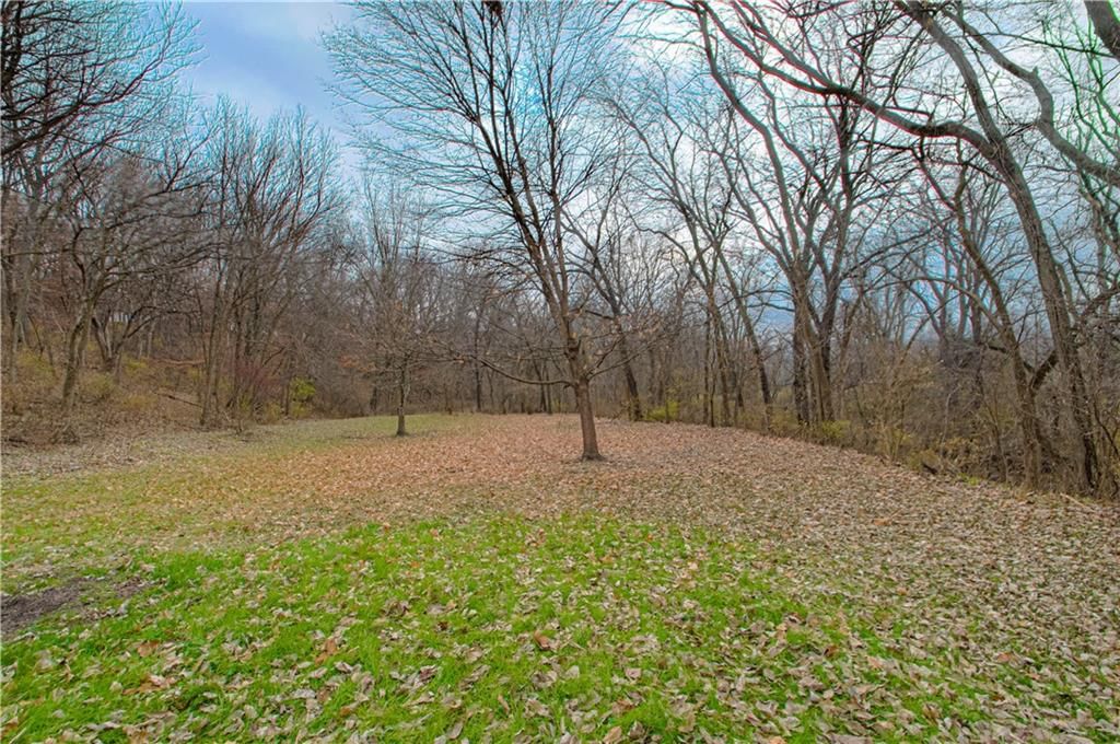 303 Hillcrest Drive — photo 50