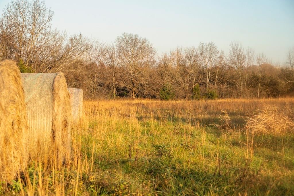 00000 Lonestar Road — photo 11