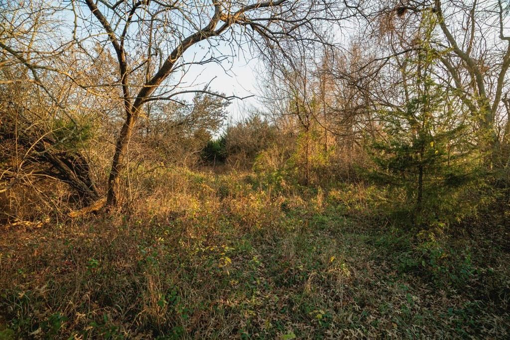 00000 Lonestar Road — photo 21