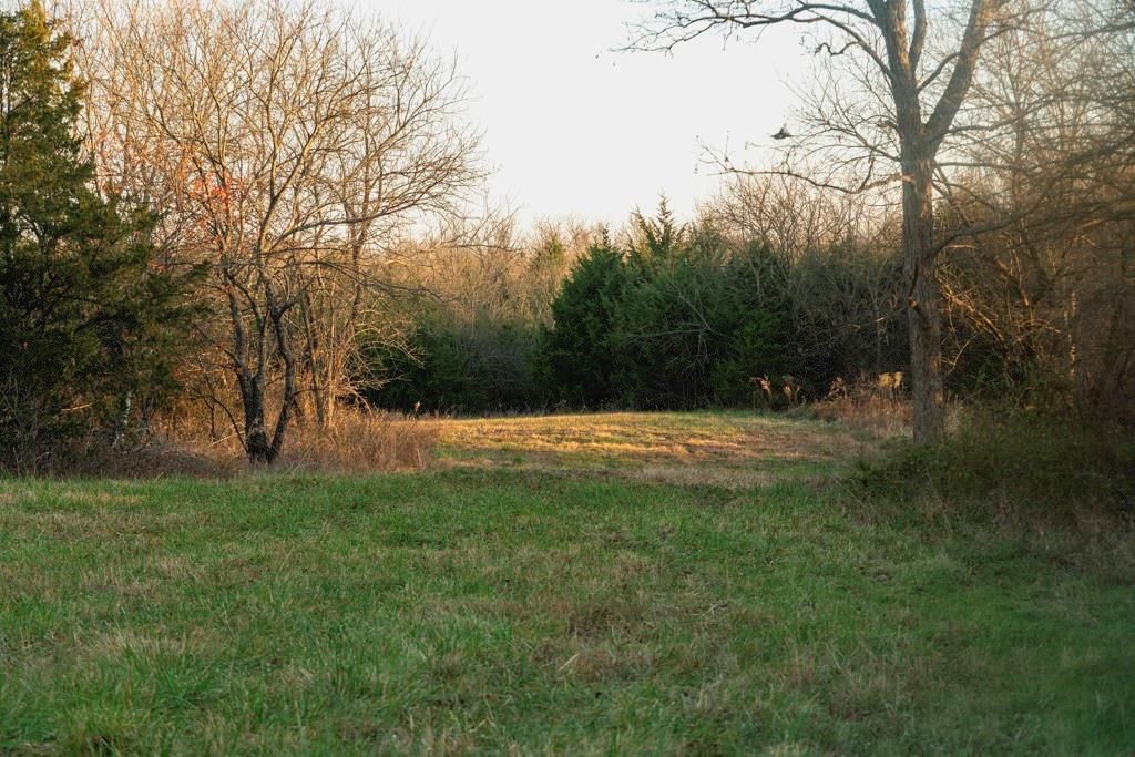 00000 Lonestar Road — photo 24