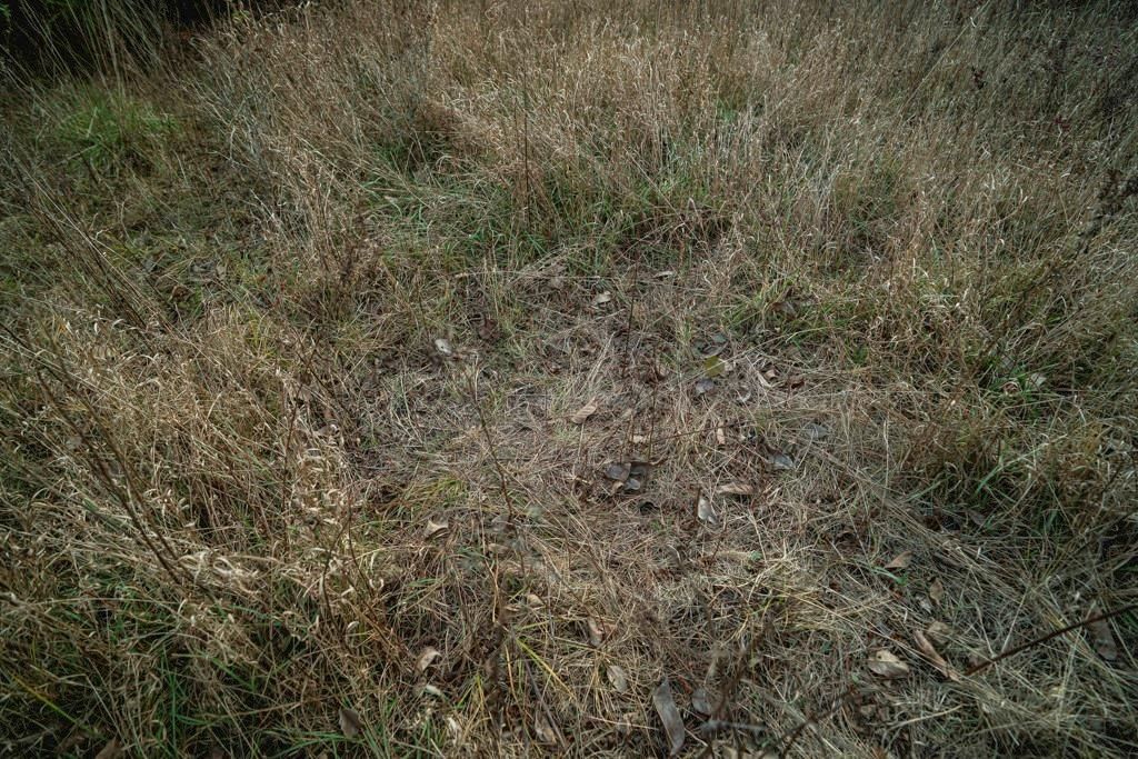 00000 Lonestar Road — photo 35