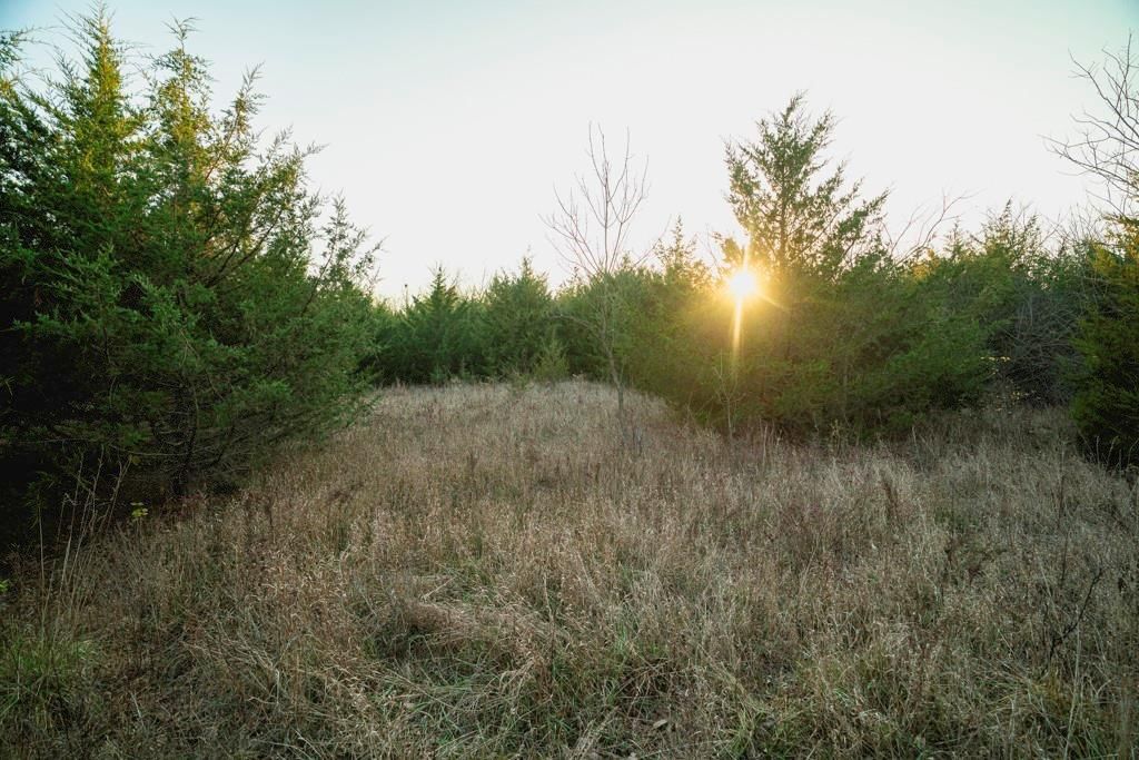 00000 Lonestar Road — photo 36