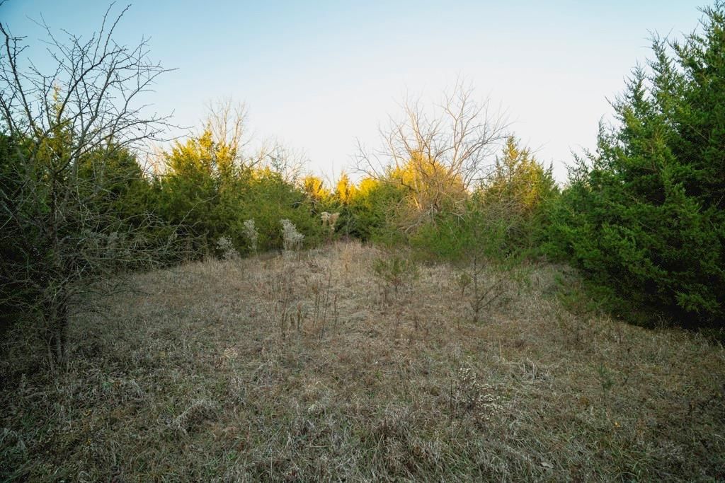 00000 Lonestar Road — photo 37
