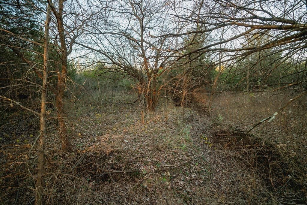 00000 Lonestar Road — photo 39