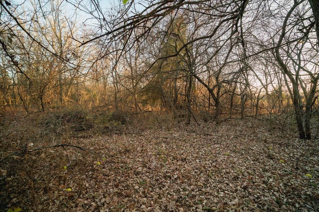 00000 Lonestar Road — photo 40