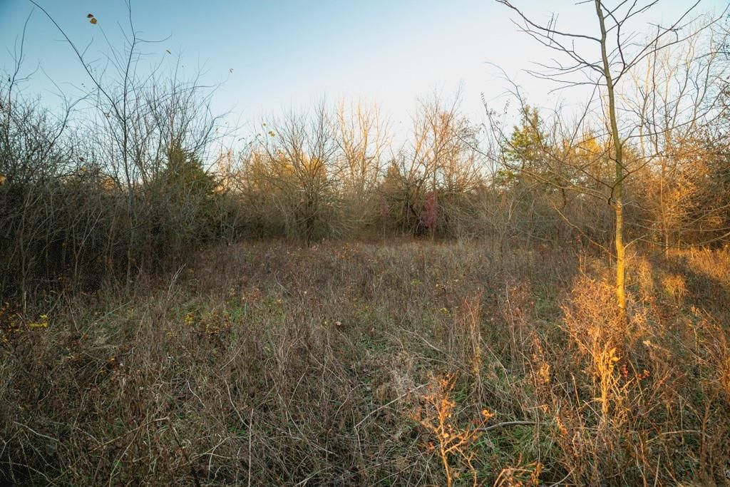 00000 Lonestar Road — photo 43