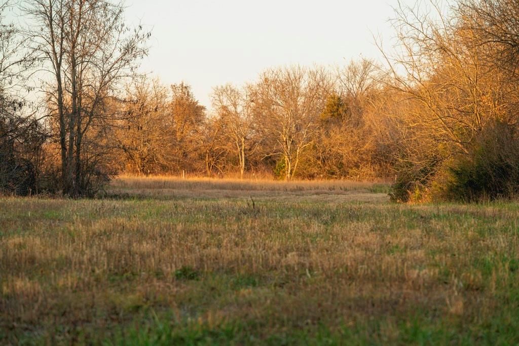 00000 Lonestar Road — photo 49