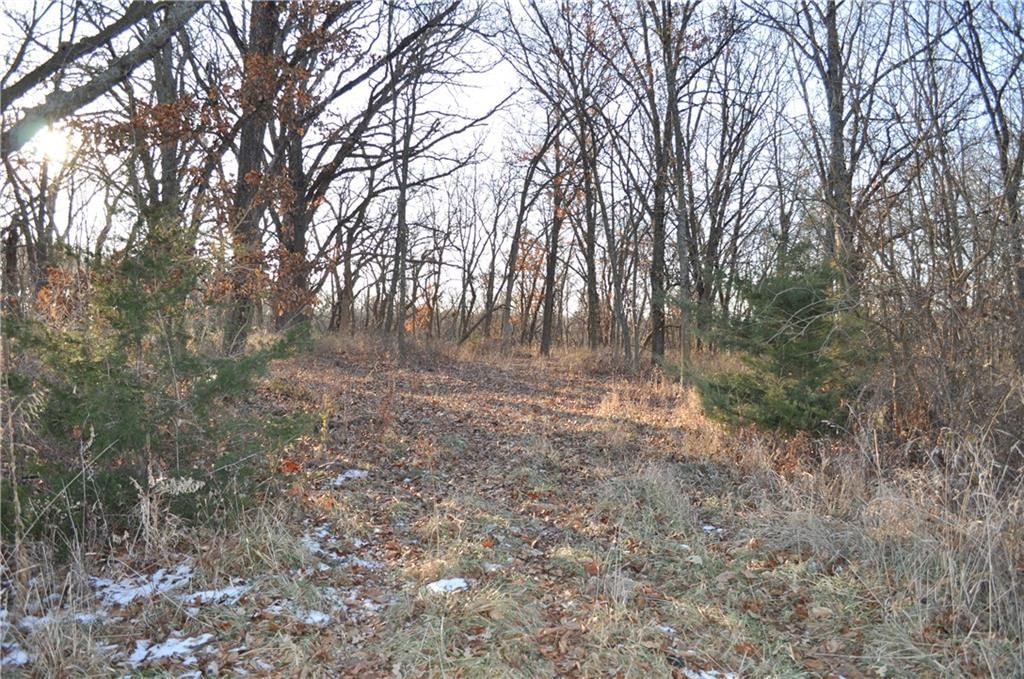 169 Highway — photo 24