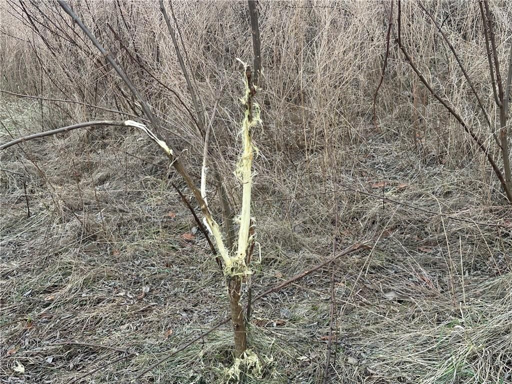 59 Highway — photo 17