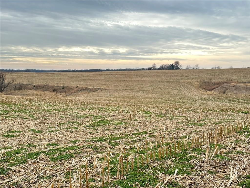 59 Highway — photo 25